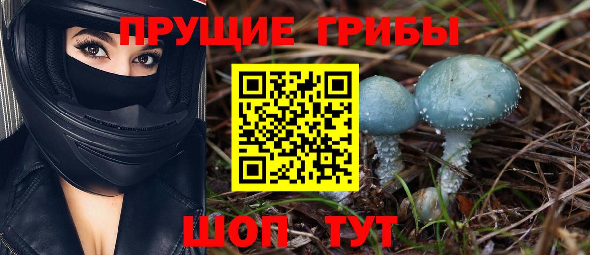 Белогорск  Галлюциногенные грибы Magic Shrooms  Псилоцибиновые грибы Psilocybe  Вход с VPN 